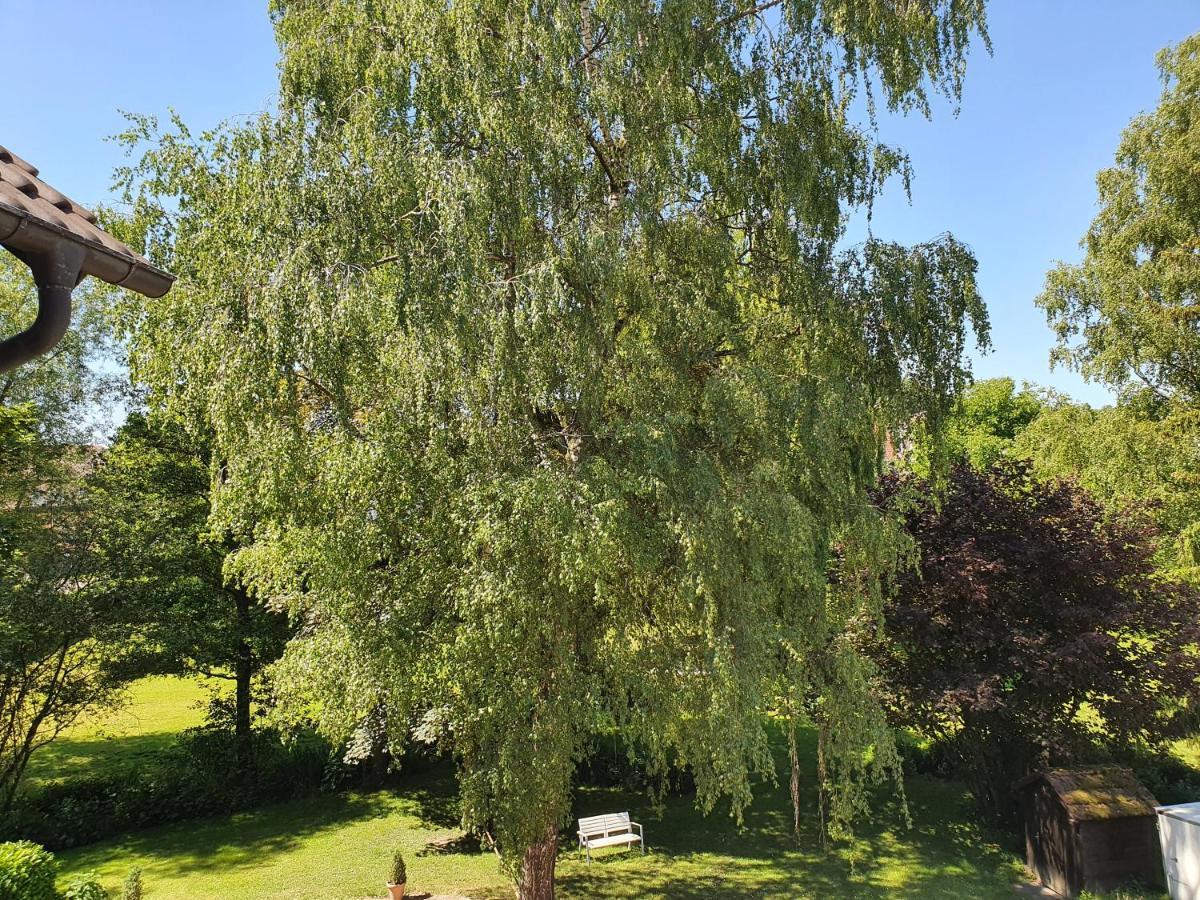 Schoenenberger Hof Orsingen-Nenzingen Eksteriør billede
